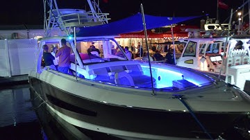 Lumitec Moray Flex Light