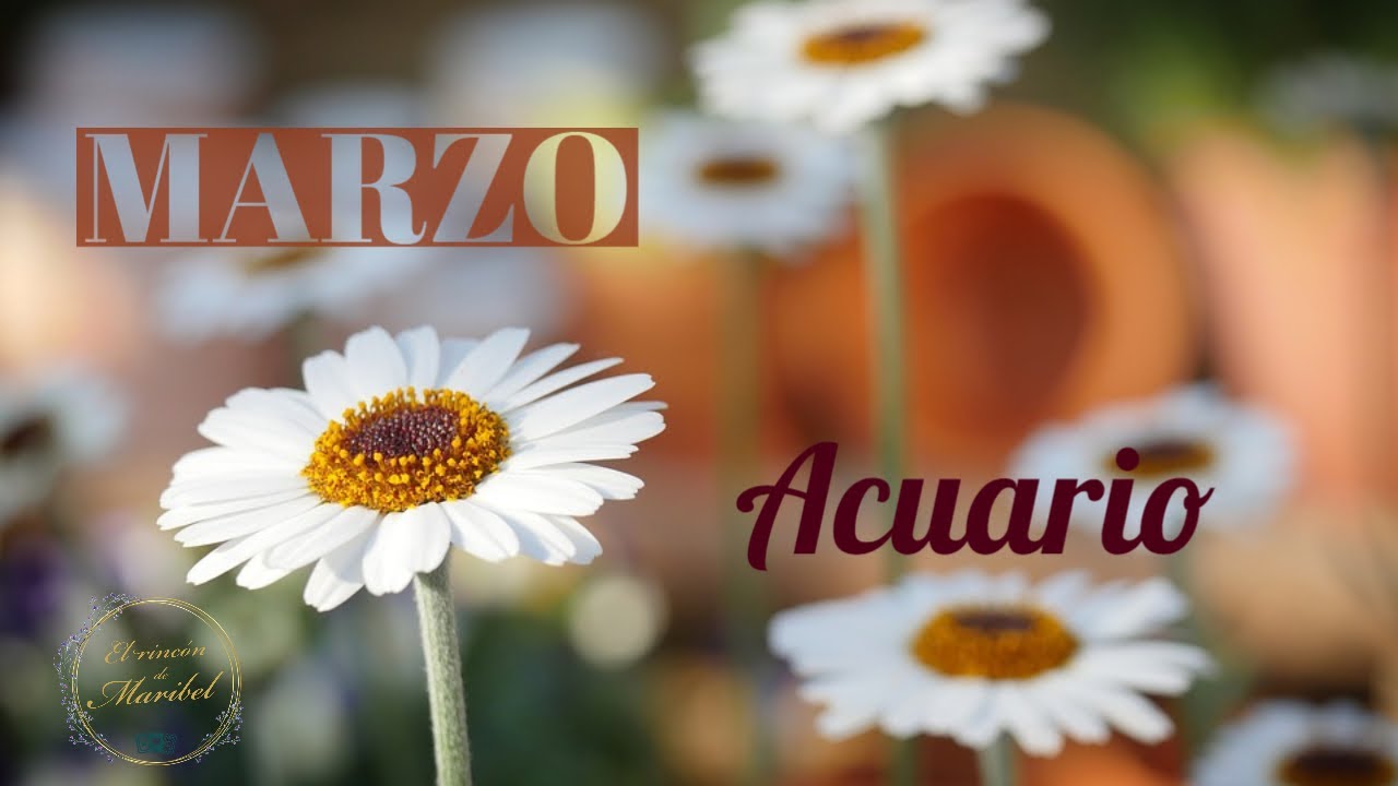 HORÓSCOPO MARZO 2022 ACUARIO YouTube