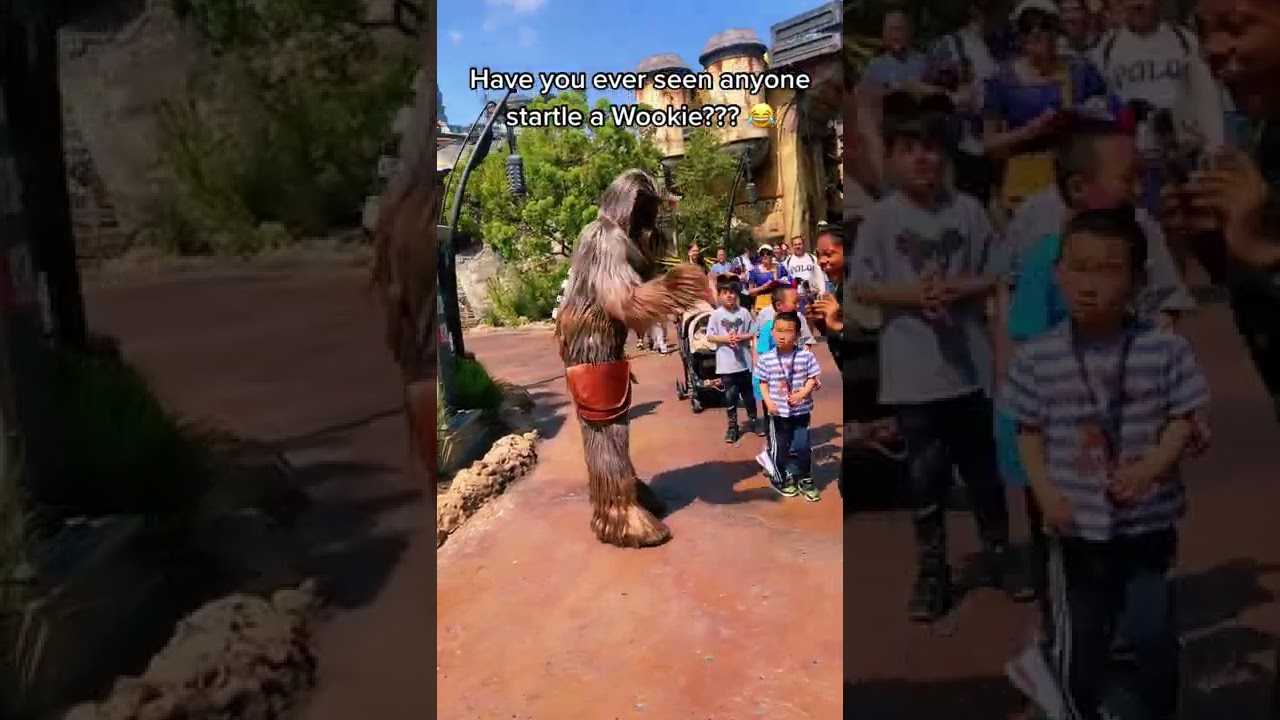 Girl screams and scares person dressed as Chewbacca!