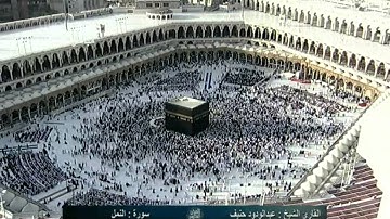 سورة النمل An-Naml - عبد الودود حنيف  Saudi Quran HD