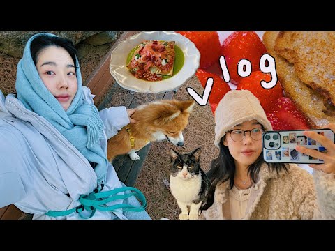 ✨318 Vlog I 서울 나들이 I 외출 I 책 I 집밥 I 쿠키 도전 I 김갈릭