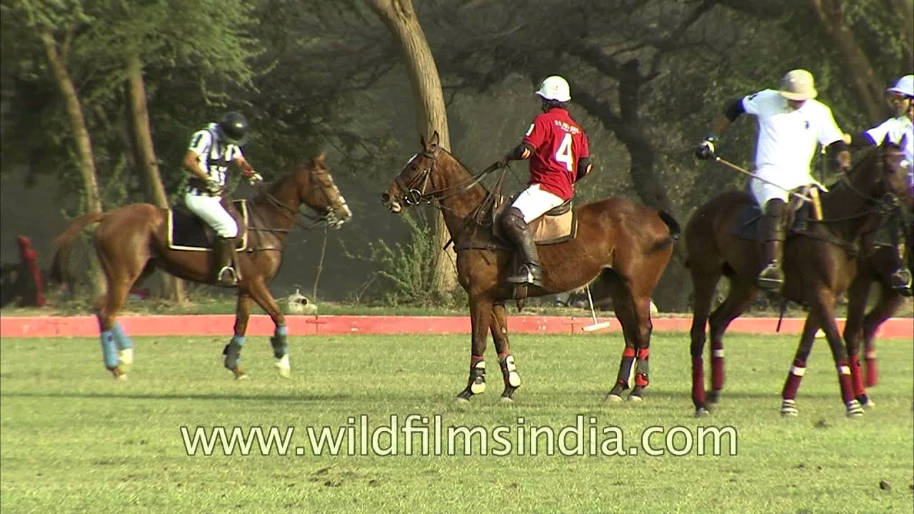 Polo match played in Delhi