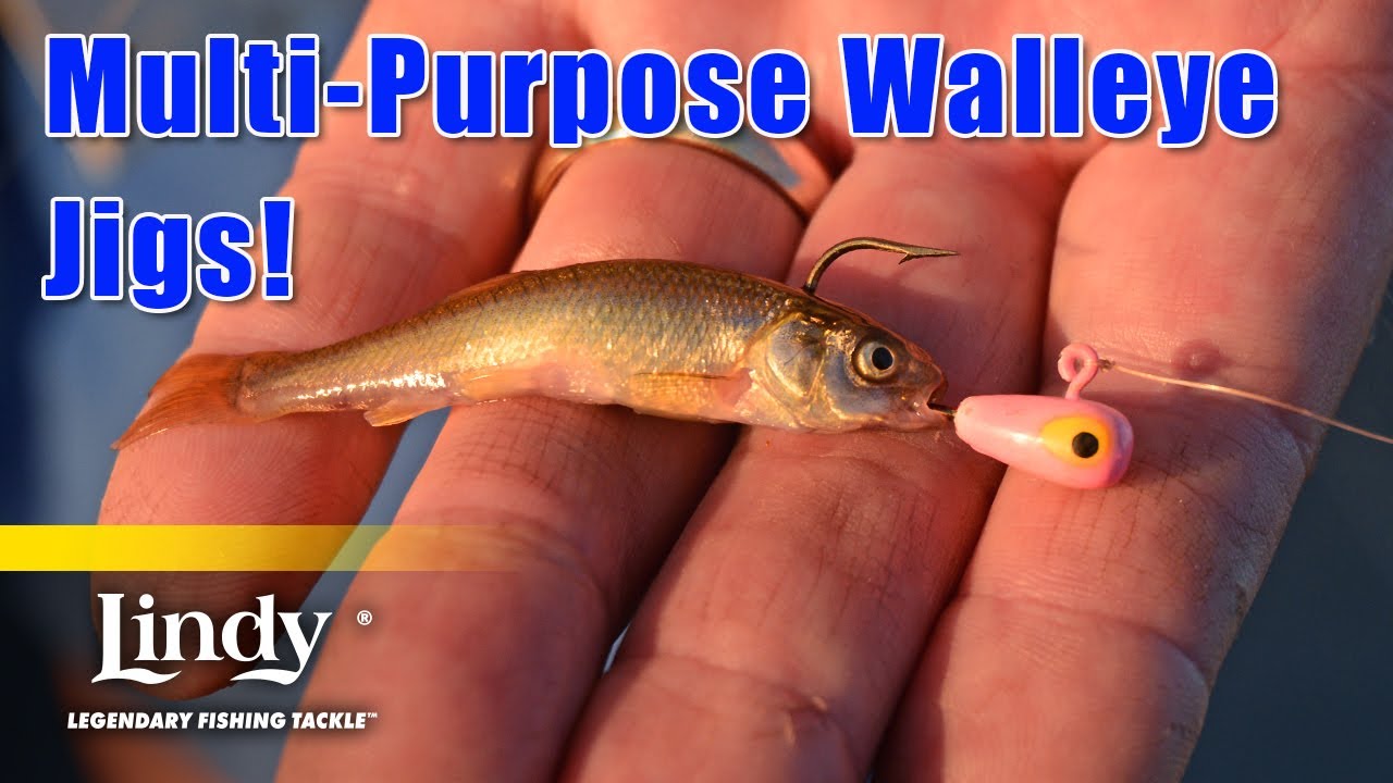 Why YOU Need to Use This Multi Purpose Walleye Jig - Lindy Fishing Tackle 