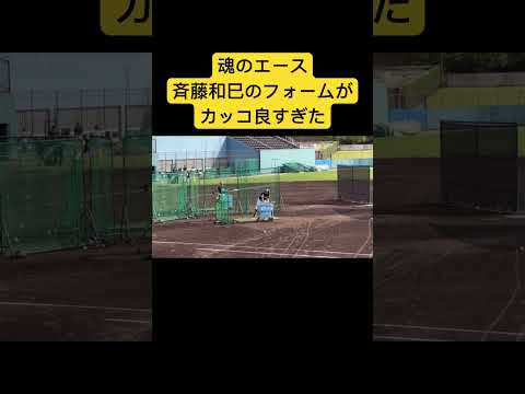 斉藤和巳の投球フォームがカッコ良すぎた　秋季キャンプ #プロ野球 #野球