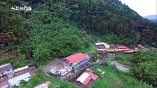 [HD]MIT 台灣誌 #722 初夏山城最閃的星星 點點螢光 紛飛微醺的瑞里