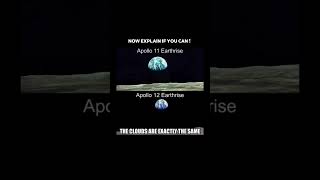 Can You Spot The Fake Pic ?