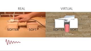 Augmenting Perceived Softness through Transient Vibration and Visuo-Haptic Illusion in VR