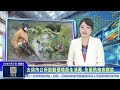 世新新聞  太保市公所啟動環境衛生消毒 全面防堵病媒蚊