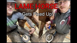 Shoeing a Lame Horse after Veterinarian Lameness Evaluation//Another Farrier at the same Barn too!