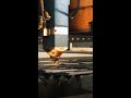 Nucor shares up 4% as strong steel demand and pricing drive Q1 earnings beat