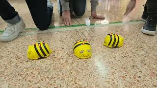 Dancing with BEE BOT