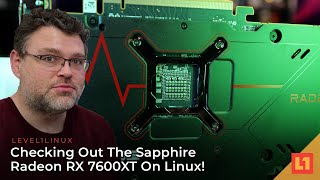 Checking Out The Sapphire Radeon RX 7600XT On Linux!