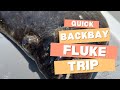 Scouting for Back Bay Fluke