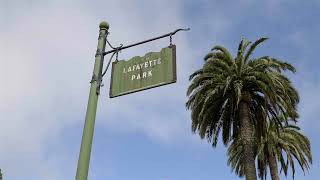 Fillmore street, san francisco l christine irsfeld