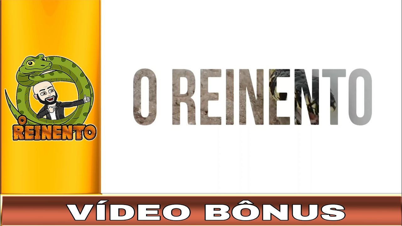 camera iphone 8 plus apk Vídeo Bônus