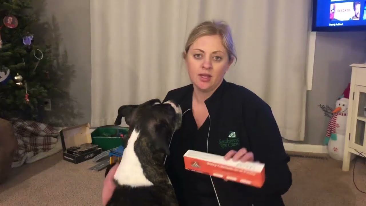 Dog Food Unboxing & Taste Test | Watch Pets Enjoy Every Bite