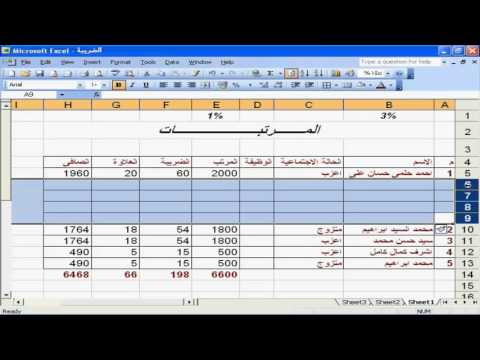 فيديو: نيك فان إكسيل صافي الثروة: ويكي ، متزوج ، أسرة ، زفاف ، راتب ، أشقاء