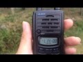 ALINCO DJ-P24L/DJ-P23Lレビュー　特定小電力無線　トランシーバー　ライセンスフリーラジオ