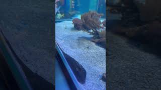 Haus der Natur #salzburg #salzburgerland #kidsmade