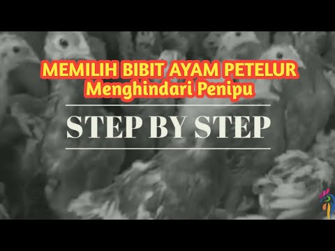 Video: Cara Memilih Bibit Yang Tepat. Bagian 2