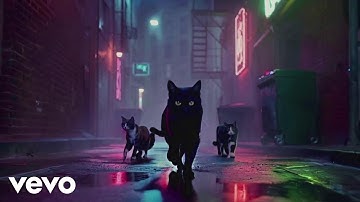 Chancelle - CAT CAT CAT (Official Music Video)