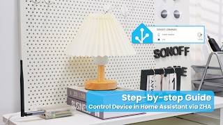 Step-by-step Guide Control Device in Home Assistant via ZHA Step-by-step Guide Control Device in Home Assistant via ZHA