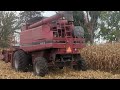 Love the Cummins Sound - CASE IH 2166 Axial-Flow® Ripping Through Corn - Harvest 2023 #harvestchaser