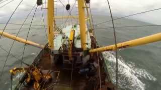 Celebrity Healthy Seas: Ghost net removal 2.0 Net Worth