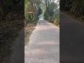 Short Funny Video|The Insider #trending #trendingshorts #funnyvideos #meresapnokirani #fyp #funny
