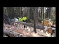 Logosol E8000 electric chain saw timelapse, Sweden