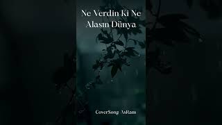 Ne Verdin Ki Ne Alasın Dünya  | Psychedelic  Rock Cover