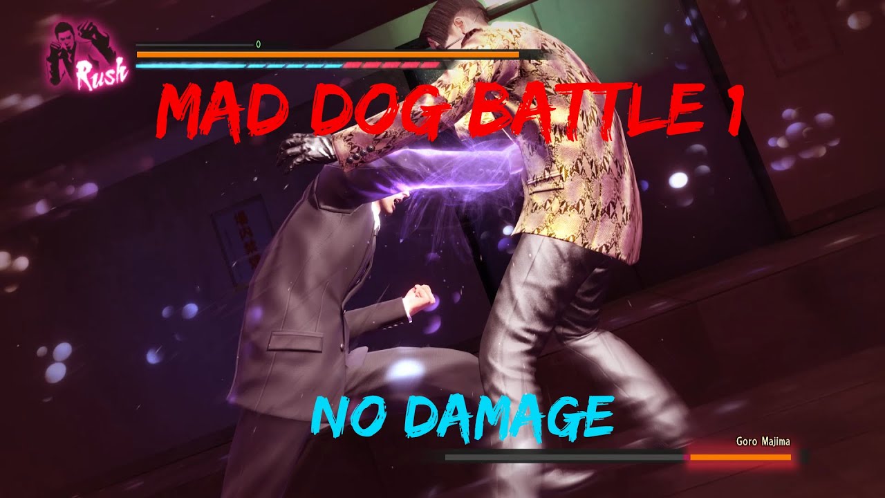Yakuza Kiwami Mad Dog Battle 1 No Damage YouTube