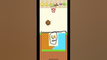 Save the dog level 237 complete