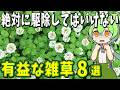 生物の謎7選！絶対に駆除してはいけない有益な雑草【総集編】