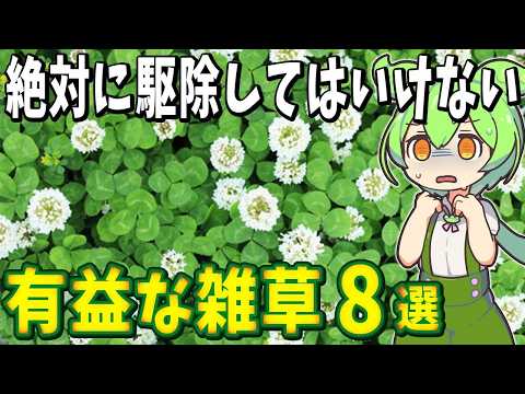 生物の謎7選！絶対に駆除してはいけない有益な雑草【総集編】