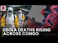Ebola Outbreak : Uganda confirms imported Ebola case from Congo outbreak| NewsX World