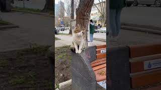 Boynu Bükükler Hiç Mutluluk Bilmezler