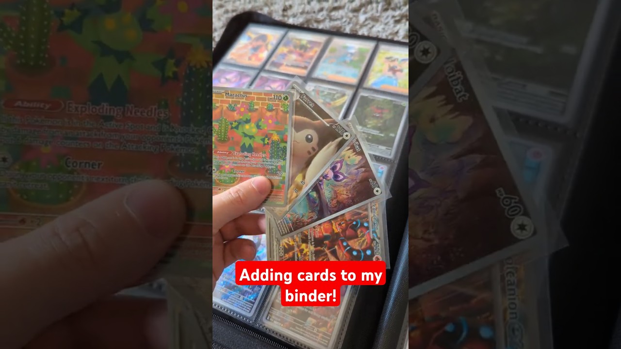 Adding 4 New Cards To My Illustration Rare Binder! - Ep 19