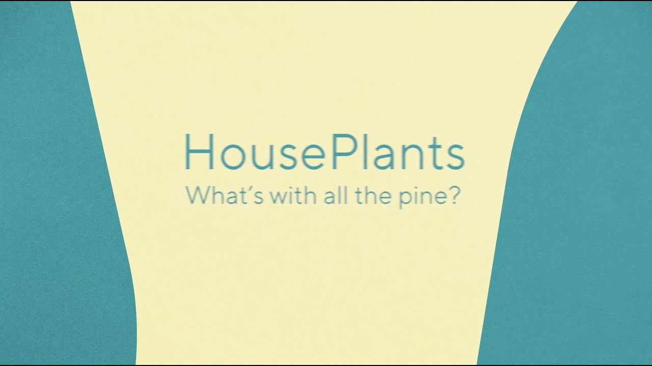 Watch HousePlants - What's With All The Pine? (Official Audio) on YouTube