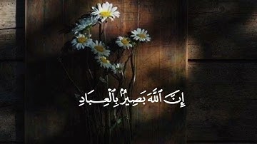 وَأُفَوِّضُ أَمۡرِيٓ إِلى ٱللَّه إِنَّ ٱللَّهَ بَصِيرُۢ بِٱلۡعِبَادِ🌷 #سورة_غافر #عبدالباسط_عبدالصمد