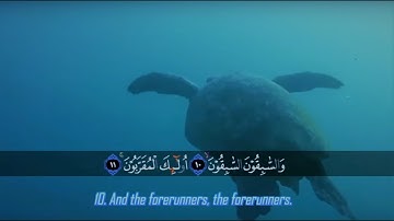 تلاوة بصوت الشيخ "عمير شميم", صوت اكثر من رائع 🍀Minato(^_^)Namikaze🍀