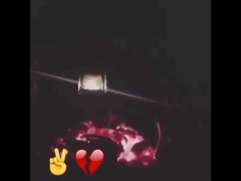 سجل علي بيض الورق