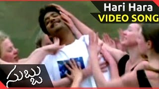 Hari Hara Video Song Subbu Telugu Movie Ntr Jr, Sonali Joshi