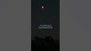 أمّن يُجِيبُ الْمُضْطَرَّ إِذَا دَعَاهُ  #ياسر_الدوسري #سورة_النمل #تلاوة_خاشعة #قرآن #القرآن_الكريم