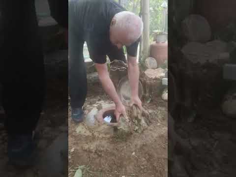 Грузинское вино. Твиши, открываем кувшин (чури) с цоликоури.