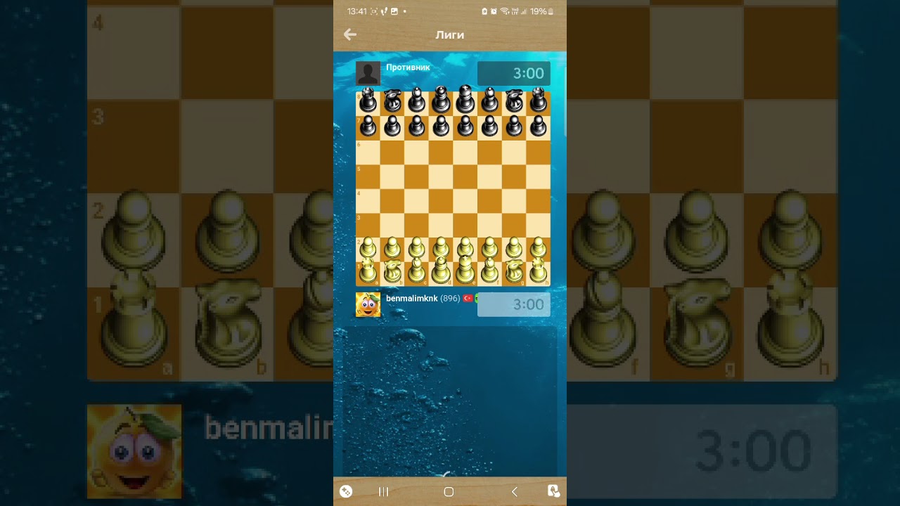 How to get site display on chess.com mobile app