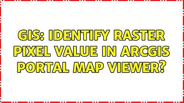 GIS: Identify raster pixel value in ArcGIS Portal Map Viewer?