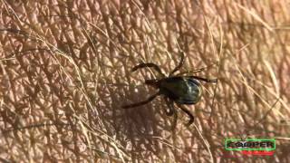Tick Prevention Service Bucks County PA