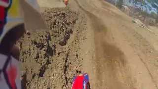 mx101  epping NH XELO17