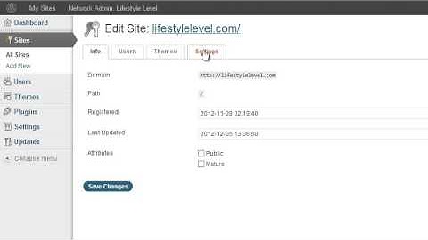 How to Remove /blog Slug from Wordpress Multi Site URL